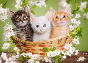 lot 7627195 image: Cat Wooden Jigsaw Puzzle 300 Piece-Kitten Sitting in a Flower Basket Woodden Puzzles Adult Gift Home Decor
