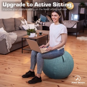 lot 7627597 image: ProBody Pilates Yoga Ball Chair - Exercise Ball Chair for Home or Office, Balance Ball Chair with Yoga Ball Cover, Upgrade Stability Ball with Attractive Cover (Azure, 24 in)