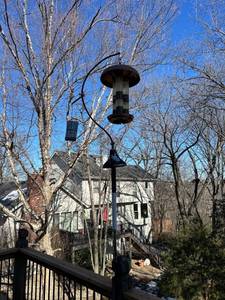 lot 7547 image: Bird Feeders