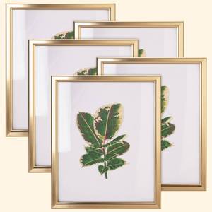 lot 1095 image: euwazram 8x10 Picture Frame - Set of 5, Matte Gold 8 x 10 Photo Frame with High-Definition Glass, Modern 8x10 frame for Tabletop or Collage Wall Retail $18.97