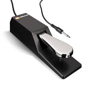 lot 6285 image: M-Audio SP-2 - Universal Sustain Pedal with Piano Style Action For MIDI Keyboards, Digital Pianos and More