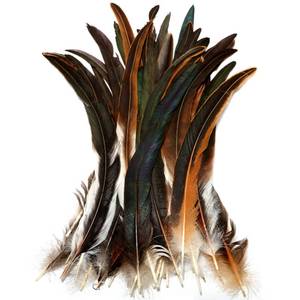 lot 8085 image: THARAHT 50PCS Rooster Coque Tail Feathers Bulk Natural 12-14Inch 30-35cm for Crafting Wedding Gras Masquerade Party Performances DIY Decoration Rooster Tail Feather,Natural