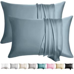 lot 8279 image: WLOSJ 100percent Silk Pillow Cases 2 Pack Standard Size Mulberry Silk Pillowcase for Hair and Skin Set of 2 Highest Grade 6A Silk Soft Breathable Cooling with Hidden Zipper, Grey Blue