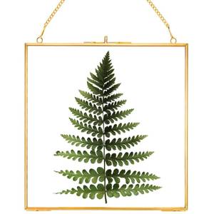 lot 1358 image: GeekLeaf Double Glass pressed flower frame Handmade, Hanging Glass Photo Frame, Floating Picture Frames, Brass Clear Glass Frame for Dried flowers Plants Artwork, Square, Gold, 8x8 (FRAME ONLY)