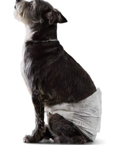 lot 10286 image: Doggie Diapers White&nbsp(size unknown)
