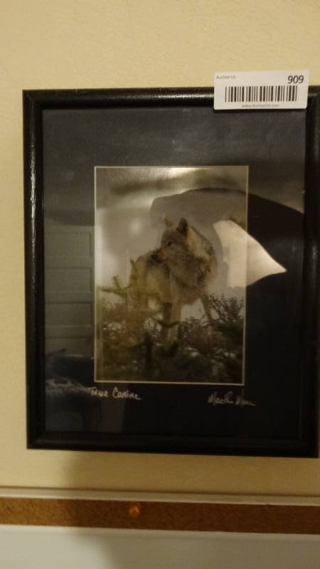 lot 909 image: Small framed Wolf photo- Signed by artist