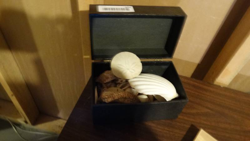 lot 954 image: Sea shells in box