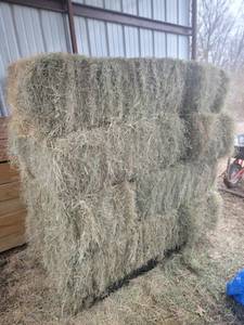 lot 1269 image: 12 - Bermuda Square Bales of Hay - Stored Inside and Tarped - Bid By The Bale