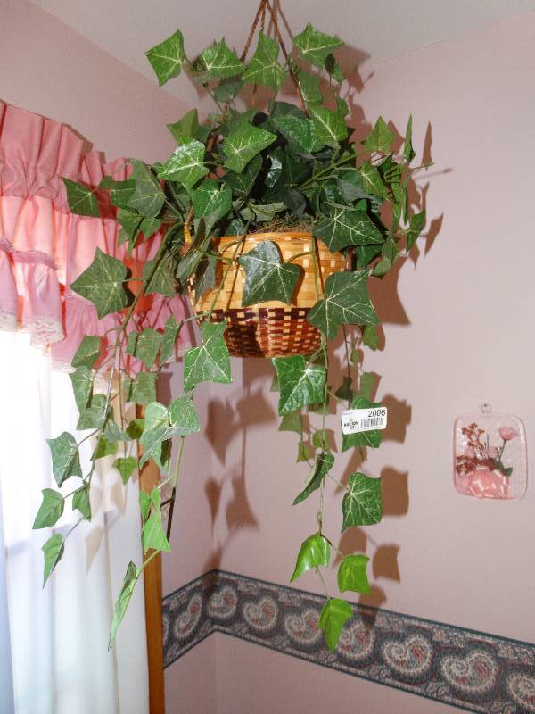 lot 2006 image: Hanging Faux Plant, Wall DecorPictures.
