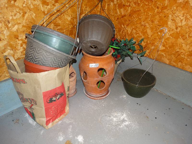 lot 2299 image: Lot of Planters & Holly Bushes.