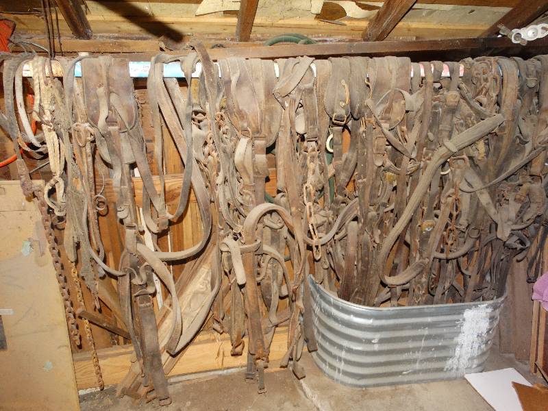lot 2351 image: HUGE lot of old horse tack