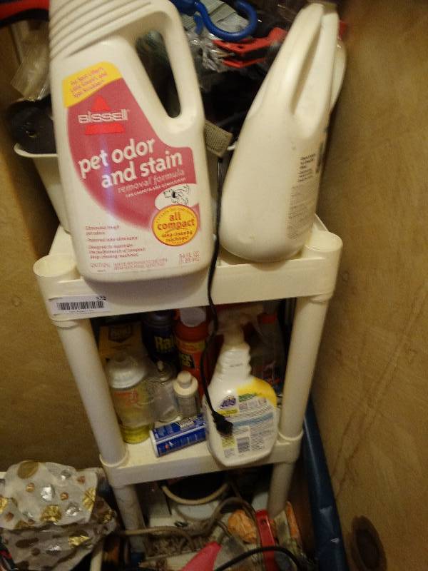 lot 572 image: Shelf of cleaning supplies