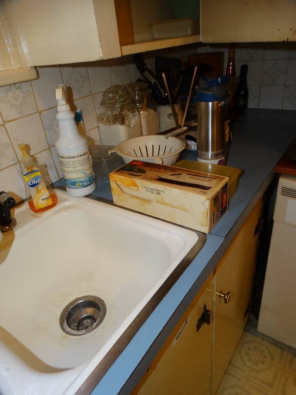 lot 586 image: Contents of kitchen counter on top of cabinet & under sink