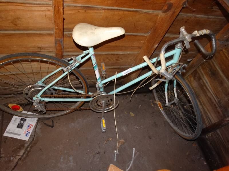 lot 703 image: Phoenix 26 10 speed bike