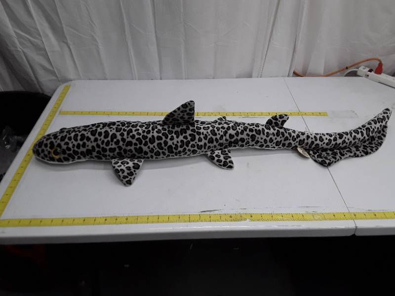 lot 31412 image: 42 Leopard Shark Push Toy