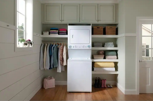lot 46850 image: Frigidaire 3.9 cu. ft. Washer and 5.5 cu. ft. Electric Dryer Combo