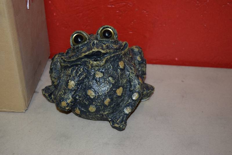 lot 331 image: Dreamer Whistling Toad
