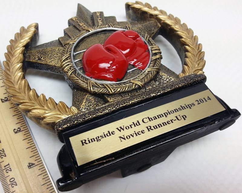 lot 5331 image: 4 new boxes of these Left over Championship Boxing 2014 Novice Runner Up trophy awards plaques
