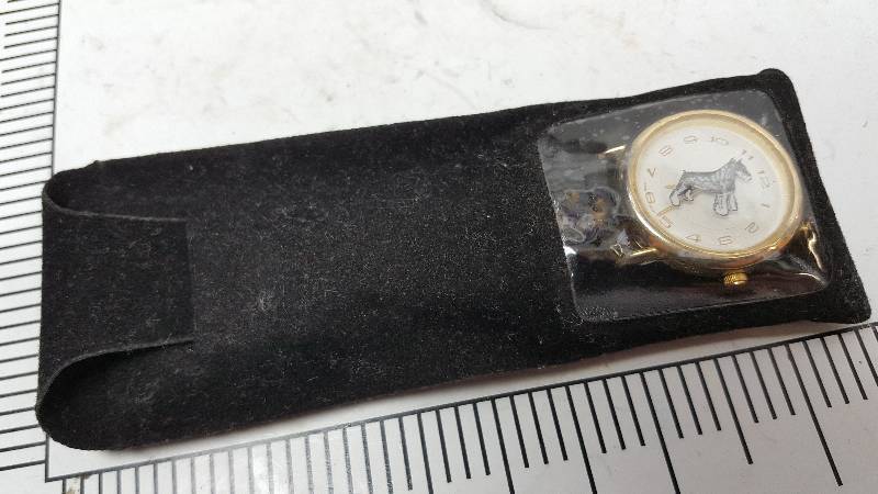 lot 5441 image: This watch was found in a Storage Locker auction and bid based on the photos