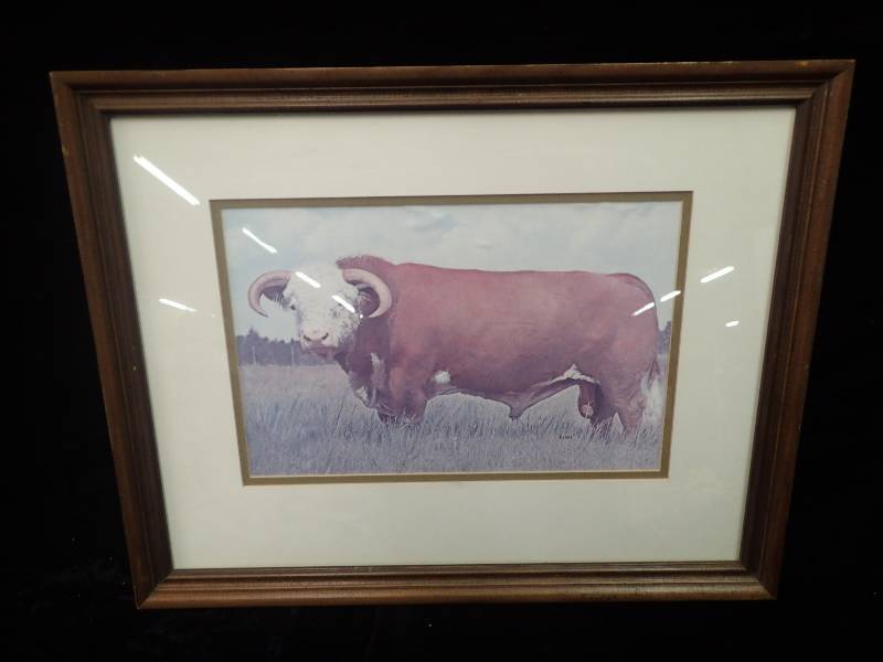 lot 2238 image: Elder Print of Hereford Bull