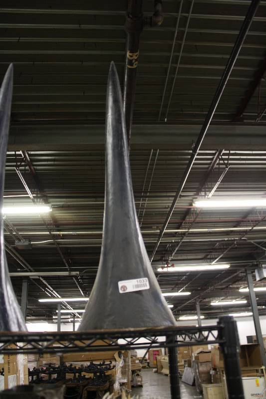 lot 1033 image: Blue Martin Nose Tip