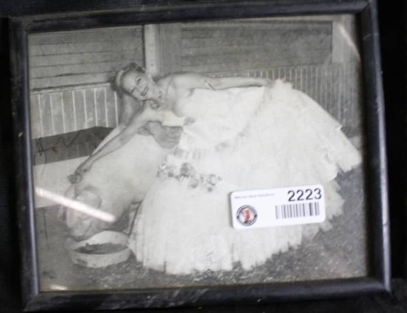 lot 2223 image: 3 Vintage Signed Pictures from Hog Show