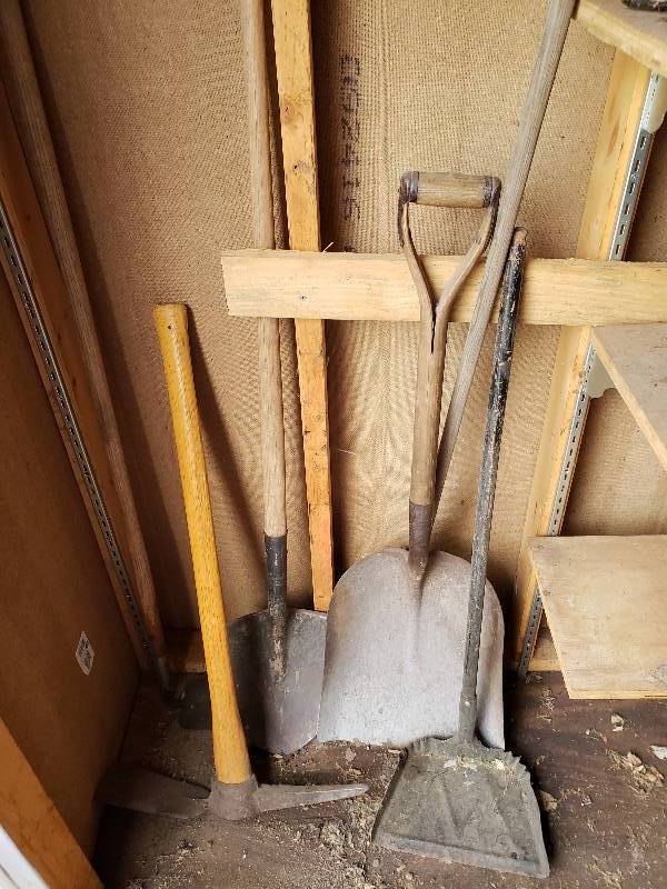 lot 10689 image: Shovels and more