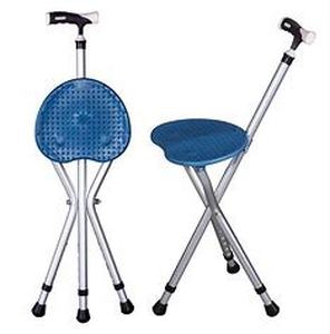 lot 19384 image: Cane Seat Folding Chair by Gromillov