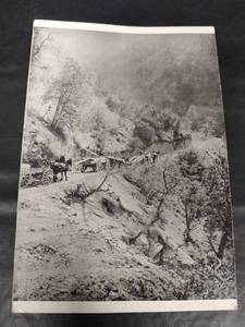 lot 493 image: Vintage Mogollon Freight Team Historical Postcard, John Harlan Collection Showing Horse Drawn Freight Wagons on November 14,1908