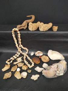 lot 623 image: Seashell Collection with Cowrie Shell Necklaces, Driftwood and Decorative Item