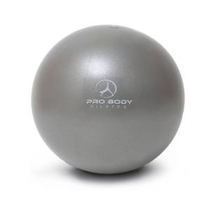 lot 6417 image: ProBody Pilates Small Exercise Ball - 9 Inch Workout Ball for Stability, Barre, Yoga, Core & Physical Therapy, Home Gym & Office Use (Silver)