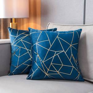 lot 6432 image: YONGLIU Throw Pillow Covers Velvet Decorative 2 Packs Ultra-Soft Cushion Case for,Christmas,Sofa,Bedroom,Car Living Room (Galaxy Blue, 20X20)