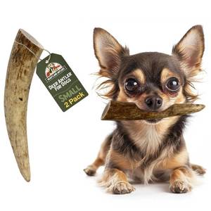 lot 8372 image: Heartland Deer Antlers for Dogs - Grade A, Naturally Shed Antlers  Dog Bones for Aggressive Chewers & Teething Puppies  Chew Toy for All Breeds  USA Made & Veteran Owned (Small 4-5 Deer 2-Pack)