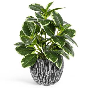 lot 9881 image: Artificial Plants Indoor Outdoor, Faux Variegated Oak Leaf Plant, Fake Potted Plants Artificial Decor for Coffee Table Desk Shelf, Faux Plants Indoor for Living Room Bathroom Bedroom Entryway Office