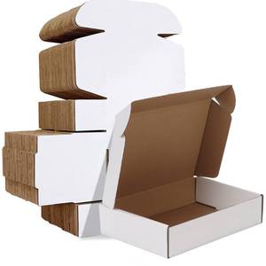 lot 11844 image: HORLIMER 9x6x2 inches Shipping Boxes Set of 50, White Corrugated Cardboard Box Literature Mailer