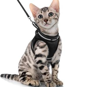 lot 12190 image: rabbitgoo Cat Harness and Leash Set for Walking Escape Proof, Adjustable Soft Kittens Vest with Reflective Strip for Cats, Comfortable Outdoor Vest, Black, XL