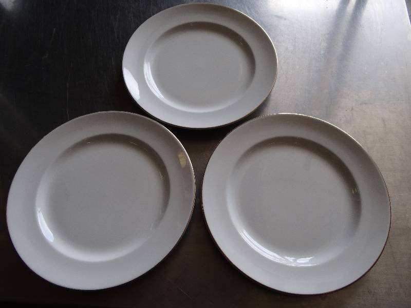 lot 2066 image: Steelite International 11.75 Dinner Plates Approx. 109