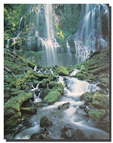 lot 4745 image: Waterfall Landsscape Forest Scenery Wall Decor Art Print Poster (16x20)