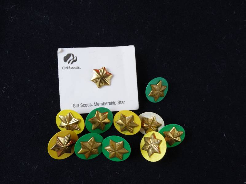 lot 2219 image: Lot of 11 Girl Scout Service Pins