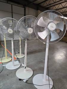 lot 17835 image: (3) Polar-Aire Freestanding Fans