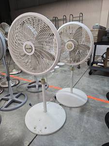 lot 17836 image: (2) Lasko Freestanding Fans