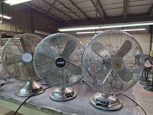 lot 17858 image: (3) 13in Oscillating Fans
