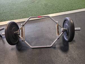 lot 21029 image: Rogue Fitness Hex Bar with Weight Plates