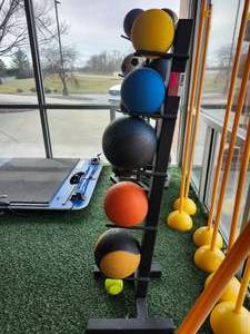 lot 21066 image: Medicine Ball Storage Rack with Assorted Exercise Balls