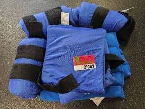 lot 21082 image: Blue Ice Packs