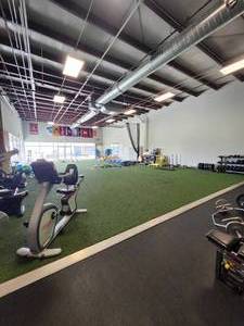 lot 21144 image: Astro Turf Area