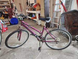 lot 565 image: Roadmaster MTN Sport SX Mountain Bike 18speed