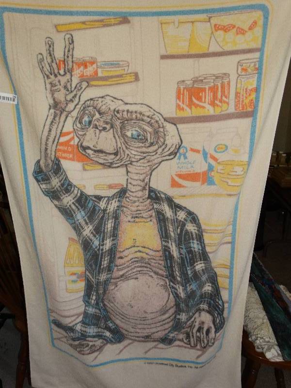 lot 192 image: 2 Large beach towels- E.T., Death valley