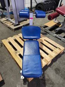 lot 22188 image: Hammer Strength AbBack Exercise Bench