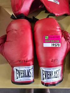 lot 19570 image: Pair Of Everlast 14oz Boxing Gloves